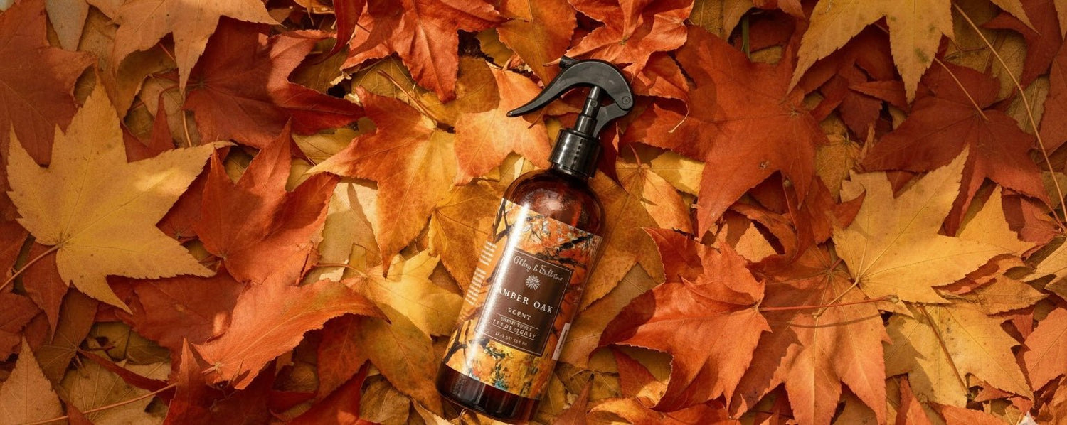 Fall - Abbey & Sullivan