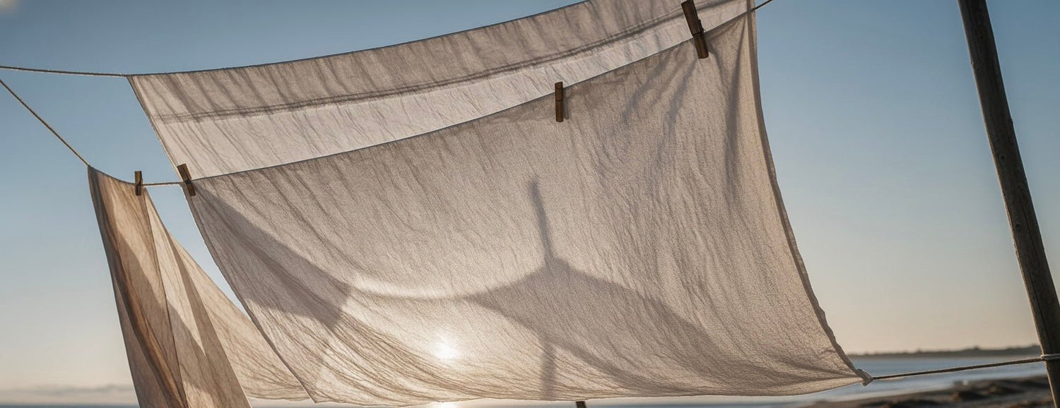 Fresh - Abbey & Sullivan