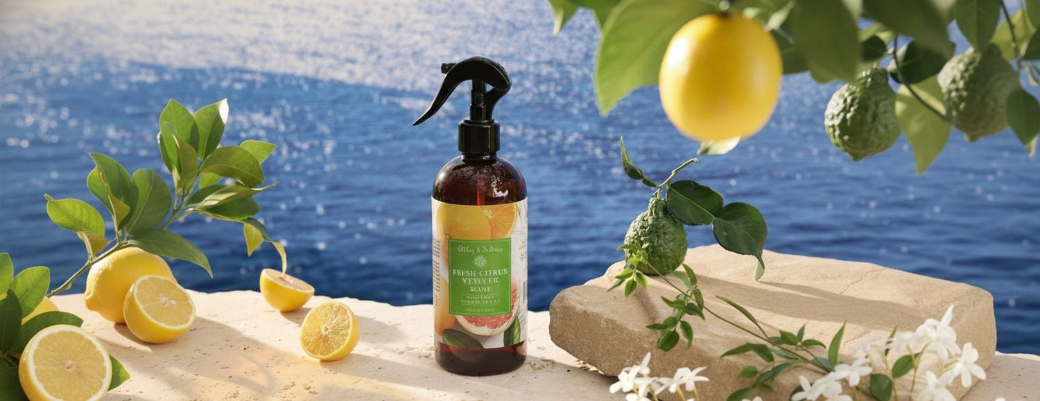 Summer - Abbey & Sullivan