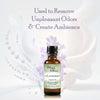 Premium Fragrance Oil - Lavender