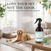 Odor Eliminator Sprays, Citrus Sage