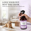 Odor Eliminator Sprays, French Lavender