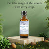 Premium Fragrance Oil - Walk in the Woods