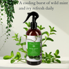 Linen and Room Spray, Wild Mint Ivy