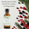 Premium Fragrance Oil - Spruce & Berries
