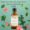 Premium Fragrance Oil - Purely Peppermint