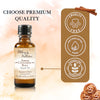 Premium Fragrance Oil - Amish Cinnamon Roll