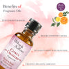 Premium Fragrance Oil - Citrus Orchard