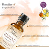 Premium Fragrance Oil - Lemon Chiffon Pie