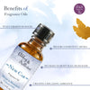 Premium Fragrance Oil - New Car