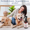 Best Odor Eliminator Spray - Cherry Blossom
