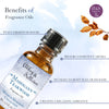 Premium Fragrance Oil - Mahogany Teakwood Type