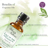 Premium Fragrance Oil - Lily of the Valley