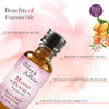 Premium Fragrance Oil - Mango Peach