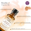 Premium Fragrance Oil - Almond Cookie