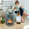 Premium Fragrance Oil - Day at the Beach