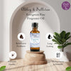 Premium Fragrance Oil - Evergreen Pine