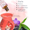 Premium Fragrance Oil - McIntosh Apple