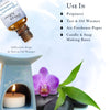 Premium Fragrance Oil - Mahogany Teakwood Type