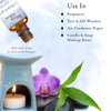 Premium Fragrance Oil - New Car
