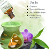 Premium Fragrance Oil - Jasmine