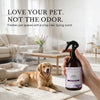 Odor Eliminator Spray, Lilac Spring