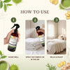 Linen and Room Sprays, Matcha Tea Ginger
