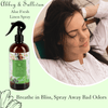Abbey & Sullivan Linen and Room Sprays, Aloe Fresh LS-1054-16