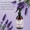 Abbey & Sullivan Odor Eliminator Sprays, Lavender AS-SOD3004-16