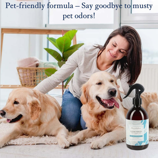 Abbey & Sullivan Odor Eliminator Sprays, Ocean Waves AS-SOD6019-16