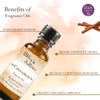 Abbey & Sullivan Premium Fragrance Oil - Cinnamon AS-FO4004-01