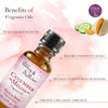 Abbey & Sullivan Premium Fragrance Oil - Cucumber Melon AS-FO2003-01