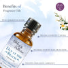 Abbey & Sullivan Premium Fragrance Oil - Day at the Beach AS-FO1001-01