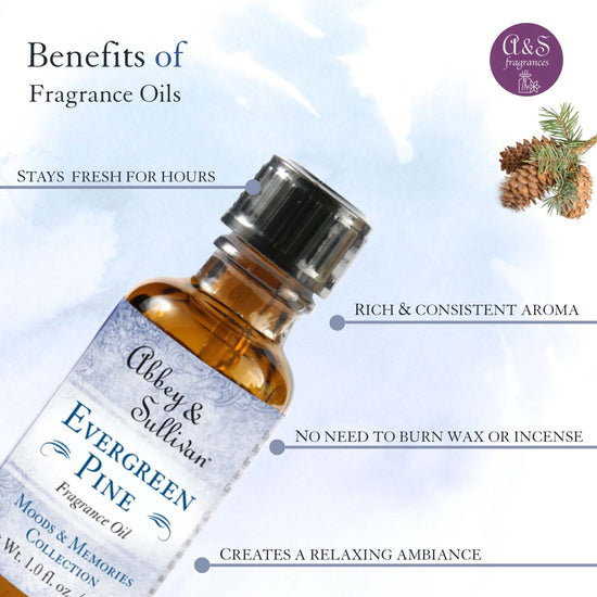 Abbey & Sullivan Premium Fragrance Oil - Evergreen Pine AS-FO1022-01