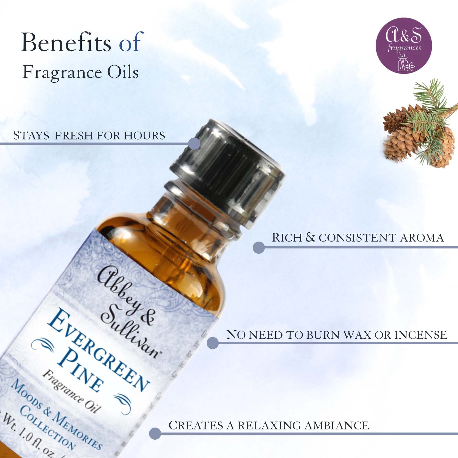 Abbey & Sullivan Premium Fragrance Oil - Evergreen Pine AS-FO1022-01