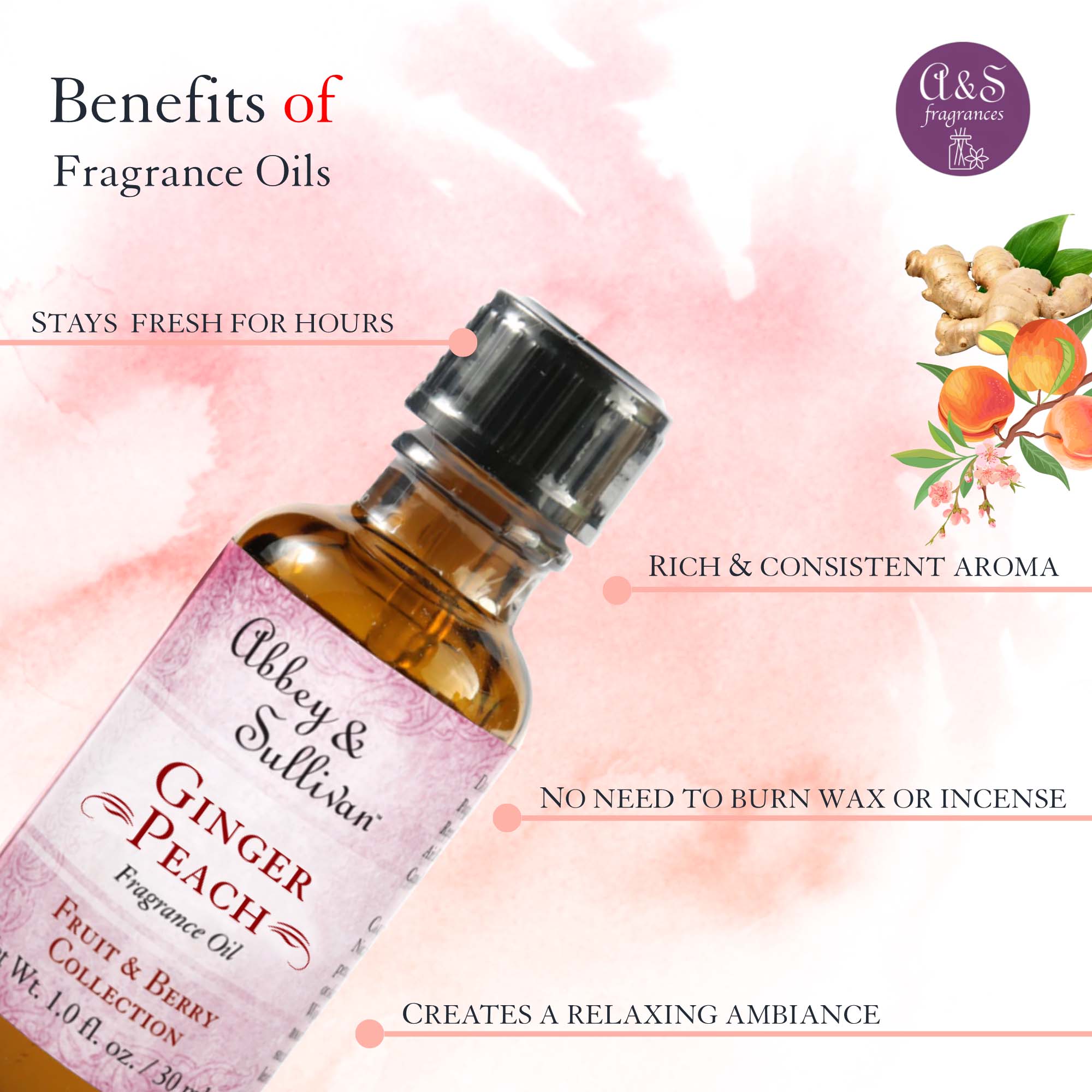 Premium Fragrance Oil - Ginger Peach – Abbey & Sullivan