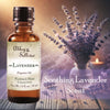Abbey & Sullivan Premium Fragrance Oil - Lavender AS-FO3004-01