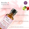 Abbey & Sullivan Premium Fragrance Oil - McIntosh Apple AS-FO2023-01