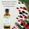 Abbey & Sullivan Premium Fragrance Oil - Spruce & Berries AS-FO3029-01