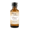 Abbey & Sullivan Premium Fragrance Oil - White Pumpkin AS - FO4036 - 01