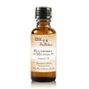 Abbey & Sullivan Premium Fragrance Oil - Blueberry Muffin AS-FO4025-01