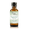 Premium Fragrance Oil - Eucalyptus Blend - Abbey & Sullivan
