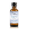 Premium Fragrance Oil - Evergreen Pine - Abbey & Sullivan