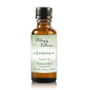 Abbey & Sullivan Premium Fragrance Oil - Jasmine AS-FO3003-01
