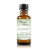 Premium Fragrance Oil - Lavender - Abbey & Sullivan